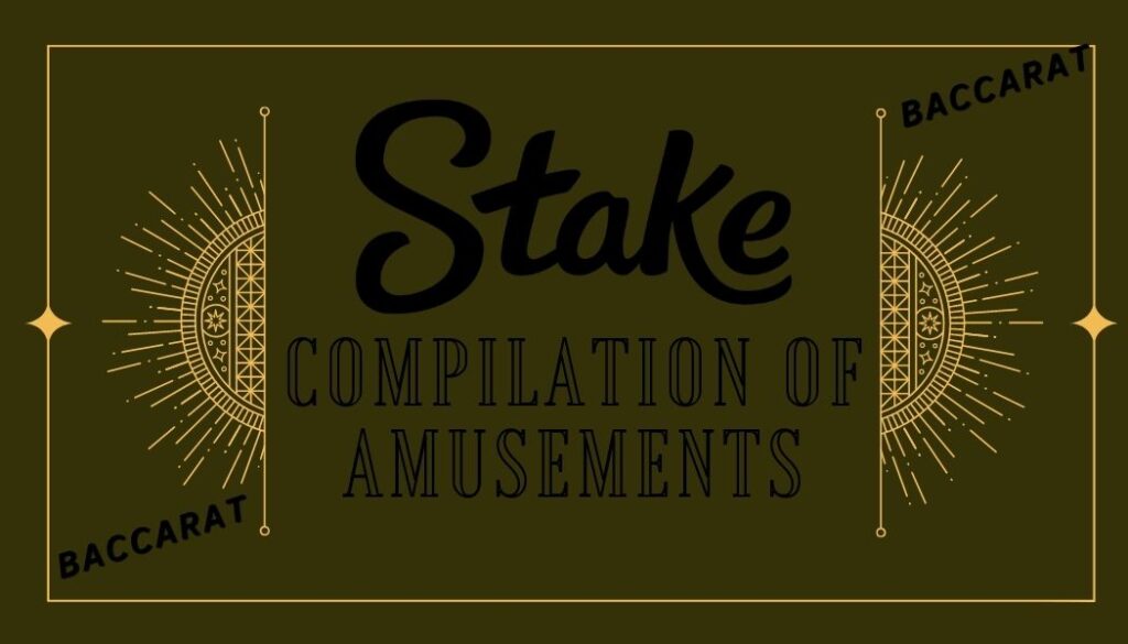 Stake casino Compilation of Amusements 